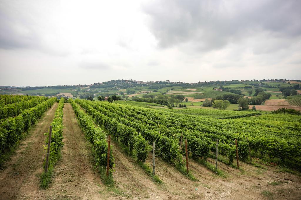 Naturalmente Wine Resort Agliano Terme Exteriör bild