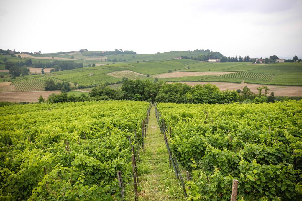 Naturalmente Wine Resort Agliano Terme Exteriör bild