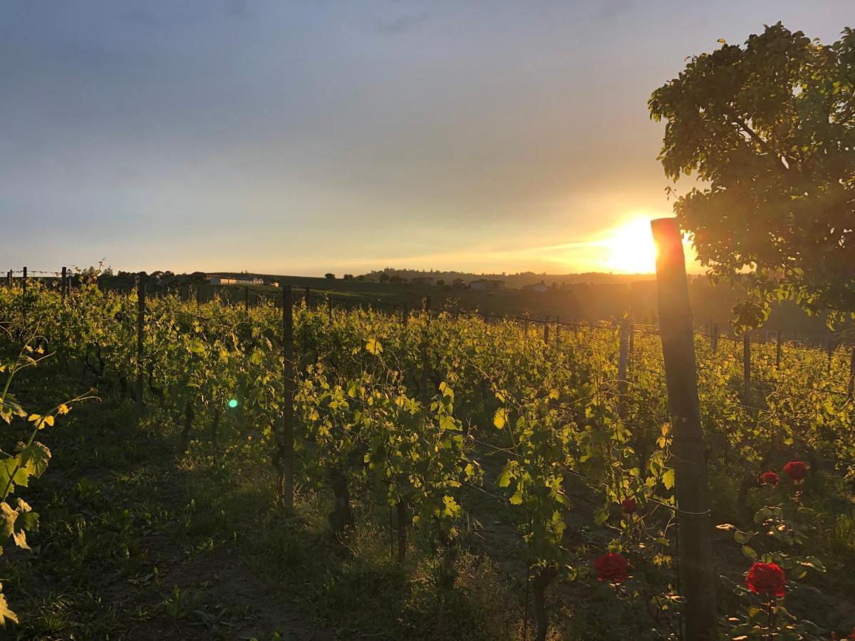 Naturalmente Wine Resort Agliano Terme Exteriör bild